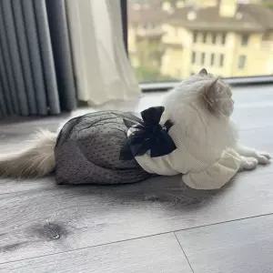 강아지 고양이 커플룩 원피스