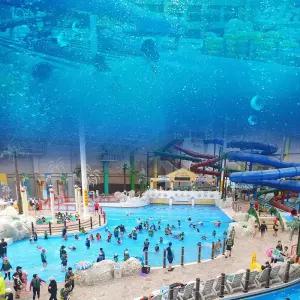 [천안] 상록리조트 아쿠아피아 입장권!(8/10~8/14)/워터파크/물놀이/실내수영장/충남/천안/충남가볼만한곳/충남아이와함께