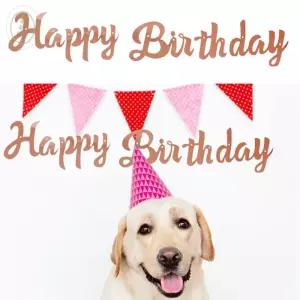 다채몰 해피버스데이 흘림체 가랜드 로즈골드 생일축하가랜드