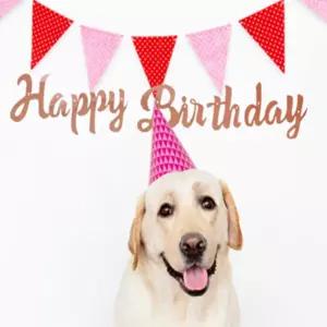 보따리라운지 해피버스데이 가랜드 로즈골드 생일축하파티용품