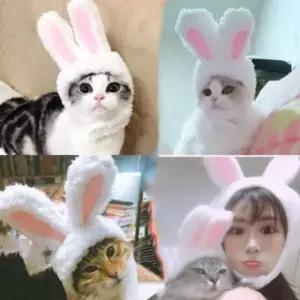 강아지 고양이 토끼귀 모자 반려동물 패션 촬영 외출 코스튬 귀여운 펫 액세서리