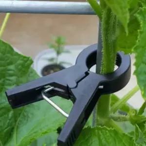 플라스틱 가지 1.7cm 클립형 식물유인집게 작물 줄기 고정