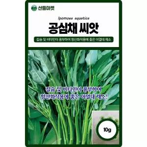 공심채 씨앗 10g 칼슘 비타민이 풍부하여 항산화 작용에 좋은 모닝글로리 종자