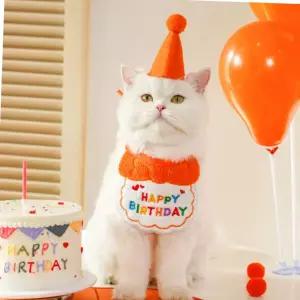 고양이 생일 파티 고깔 모자 케이프 강아지 세트