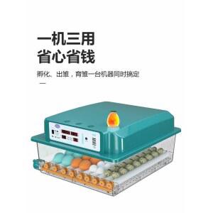 부화용품/병아리부화기 국산병아리 자동 기계 인큐베이터 자동부화기 병아리 사육 전란 메추리