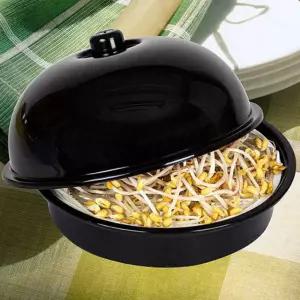 식물 관찰일지 콩나물키트 콩나물키우기키트