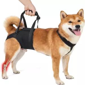 대형견용 엉덩이 다리 지지 슬링 개 등 트 하네스 대형견의 올리기 도움 약한 위한 노령견 보조
