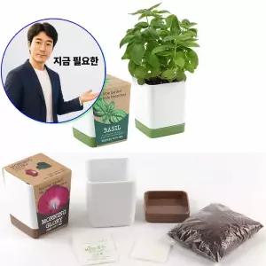 지금 필요한 화분세트 반려식물키우기 바질씨앗