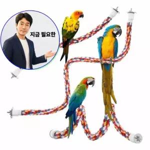 지금 필요한 휴식공간 40cm 횃대 그네 1P 앵무새 컬러 장남감