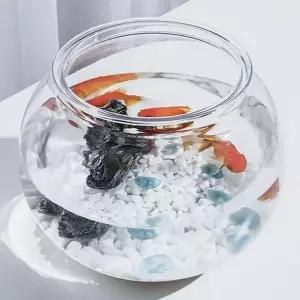 [제이큐]해수어 거북이키우기 어항원형 18X16cm