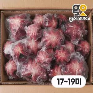 자숙문어 돌문어 10kg 18미(17~19미 내외) 냉동 숙회 제수용 왕문어 필리핀