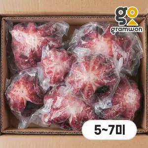 자숙문어 돌문어 10kg 6미(5~7미 내외) 냉동 숙회 제수용 왕문어 필리핀