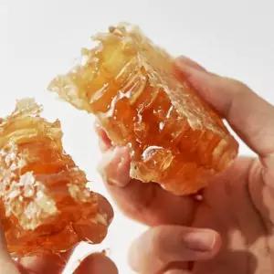 예찬 강원양봉 국내산 사양 벌집꿀 선물세트 유리병250g+밀폐용기400g)