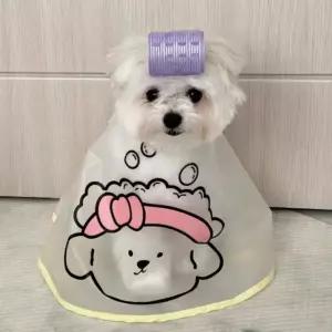 강아지 고양이 미용 케이프 세안 커트 턱받이