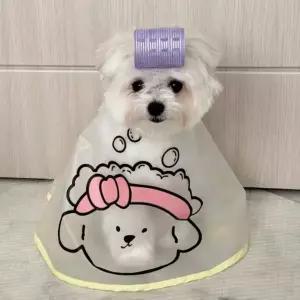 [알티피아]강아지 고양이 미용 케이프 세안 커트 턱받이