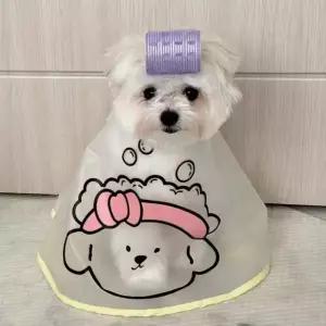 [하프클럽/알티피아]강아지 고양이 미용 케이프 세안 커트 턱받이