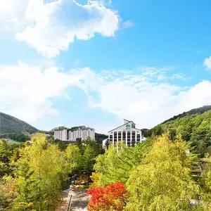 [평창] 모나용평 얼리 어텀 패키지 (객실 1박 + 하반 조식or워터파크 오후권 + 케이블카or애니포레or사계절썰매 2회 + 할인권)