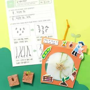 4인세트 뿌리관찰 식물키우기 과학수업 방과후 홈스쿨링 수조작 문화센터 만들기키트 미술학습