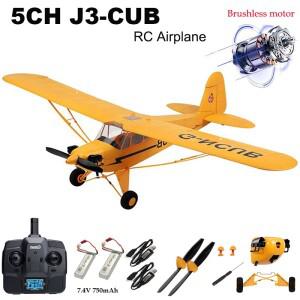 Parkten RC 비행기 RTF 2.4G 브러시리스 모터 3D6G 원격 제어 Wltoys A160 업그레이드된 J3-CUB 노란색 및