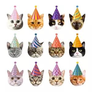 용용상점 생일고양이가랜드 홈파티장식 생일축하현수막 펫이벤트용품