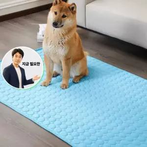 지금 필요한 쿨링 야외 XL 배변 반려동물 실내 방수 매트 애견쿨링패드