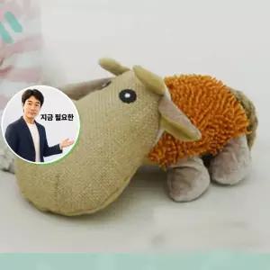 지금 필요한 강아지 황소 흥미 장난감 삑삑이 바스락 1P 터그놀이 소리나는강아지인형