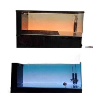 라이트 백스크린 해수어 사이즈로 20x20cm 인테리어 에 ada 1 수조 연락하기 600x300mm 램프 맞춤