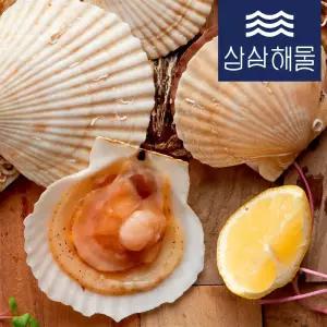 삼삼해물 참가리비(일본산) 1kg