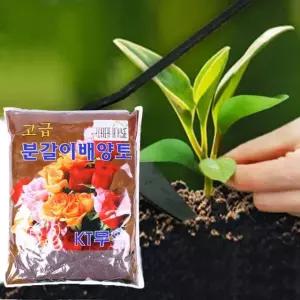 분갈이 배양토 5L 원예용 화분 흙 텃밭 영양 식물 성장 가정 코코피트 피트모스 질석 펄라이트 다육이 관엽