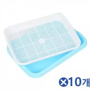 수경재배 새싹 플라스틱 채소 펠렛 모종 식물키우기 콩나물 육묘