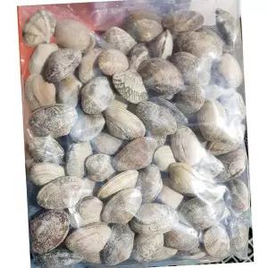 피바지락 600g 26개 해물탕