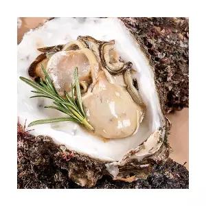 통영 대왕 바위굴 벚굴 큰굴 생물 3kg 6kg 석화 석굴 제철 당일작업