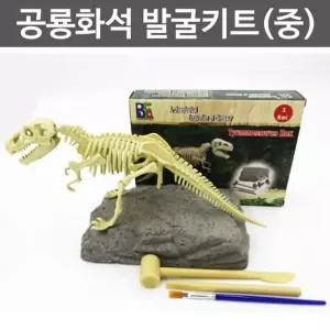 공룡화석 발굴키트(중)/관찰 실험 수업