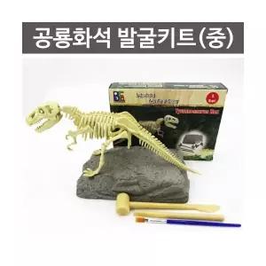 공룡화석발굴키트(중)