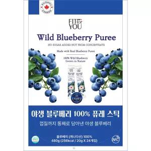 트레이더스 핏포유 야생블루베리 100% 퓨레 스틱(20g x 24)