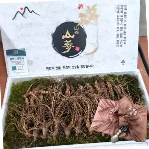 장뇌삼 2등급 중 20뿌리 7-8년근 식자재