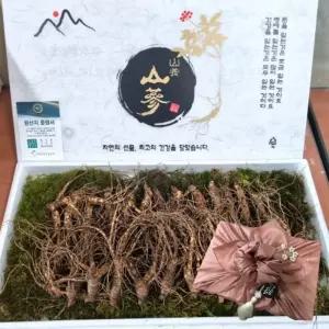 장뇌삼 2등급 중 12뿌리 5-7년근 식자재