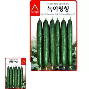 포에코 오이씨앗 녹야청청 종자 40립종묘체형
