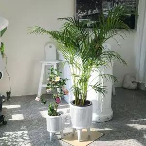 베하몰 마블 화분 클로이 세로줄원통 20x24cm 소홈가드닝 식물키우기 꽃키우기 원예용 집들이선물 꾸미기