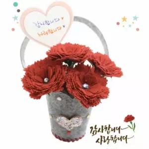 글로벌이지 카네이션 꽃바구니 10인용 세트 뚝딱 펠트
