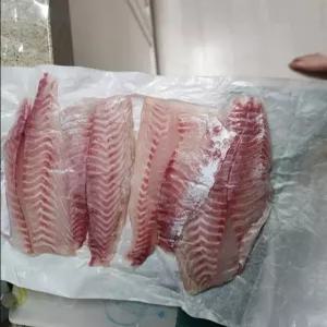 벤자리회 1kg / 횟감 필렛 / (부산물 뼈&머리 미포함 )