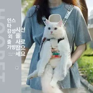 펫아기띠 강아지포대기 애견배낭