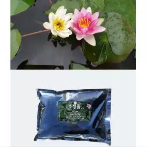 수생 흙 식물 연꽃 기르기 분갈이 aquatic soil