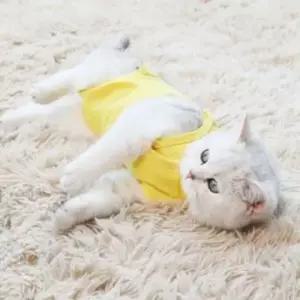 고양이 강아지 중성 화복 중성화 수술복 환묘옷 환견복
