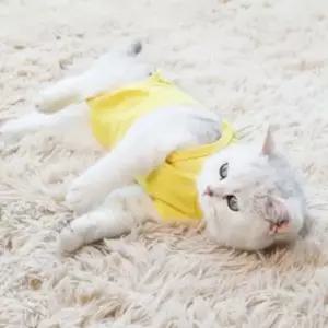 [반려] 고양이 강아지 중성화복 중성화수술복 환묘옷 환견복