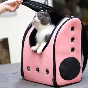 반려동물 여행 가방 통기성 PU 휴대용 우주 캡슐 고양이 배낭 대용량 투명