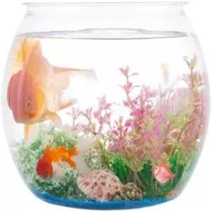 플라스틱 어항 2개 135온스 원형 홈 파티 DIY 장식 사탕 카니발 게임 경품 테이블 센터피스용 1갤런 수족관