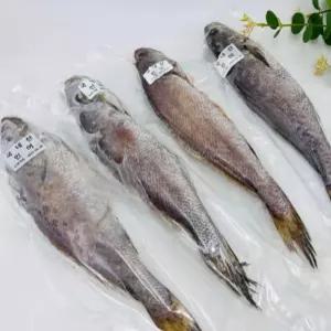 서치11 4미 반건조생선 반건조 국내산 민어 대왕 생선 생선구이 빠른배송