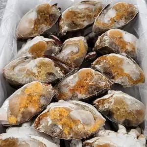 국내산 냉동 절단 암꽃게 2kg [BZH91317]