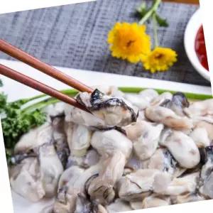 고성 생굴 1kg 해물탕